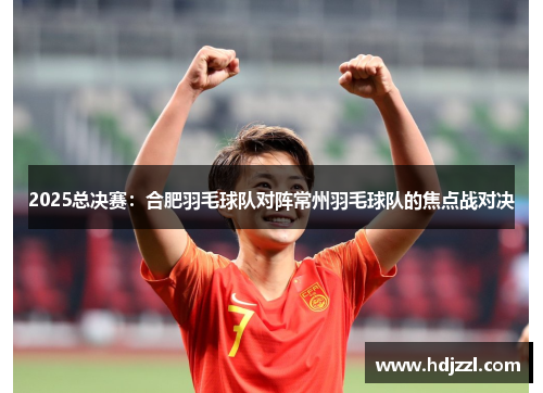 2025总决赛：合肥羽毛球队对阵常州羽毛球队的焦点战对决